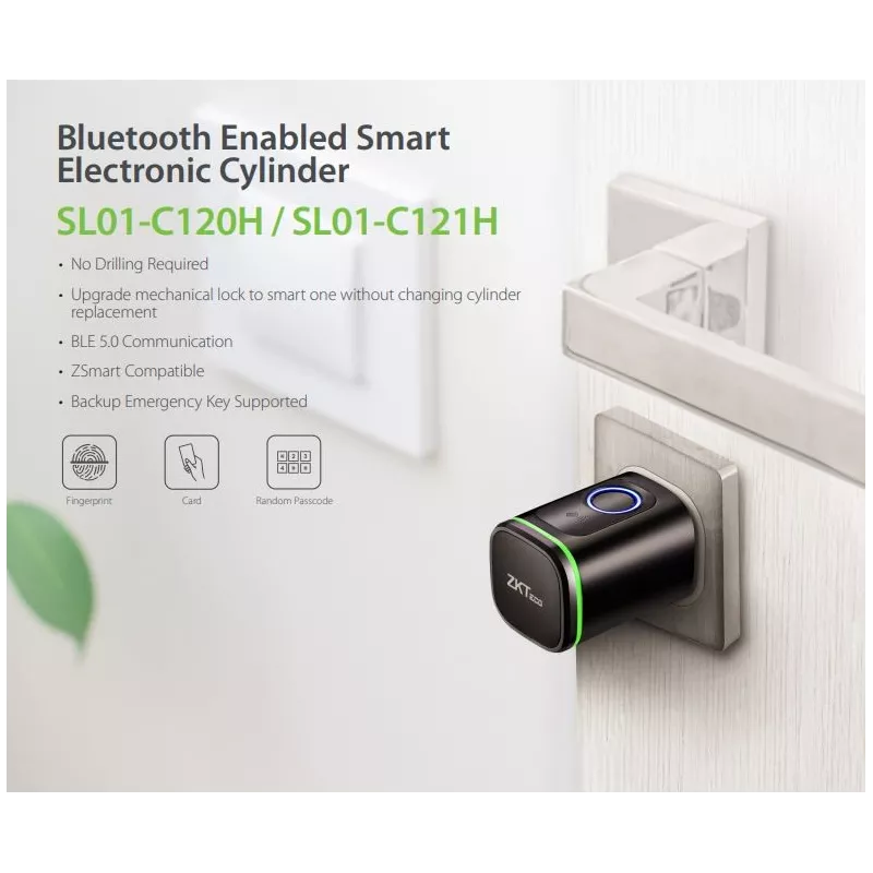 Ventouse ZKTeco SL01-CL120N
