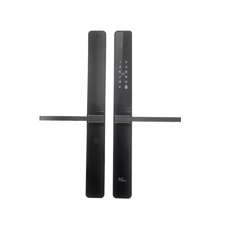 Serrure biométrique ZKTeco SL01-N230N empreinte